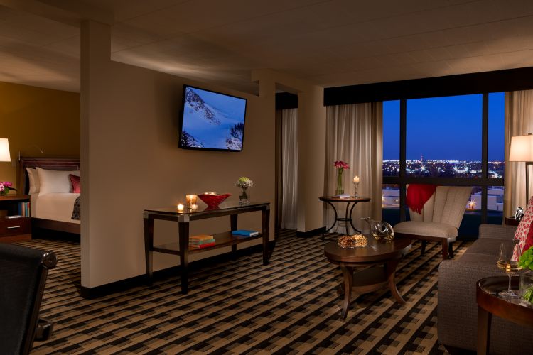 Millennium Buffalo , NY 14225 near Buffalo Niagara International Airport View Point 14