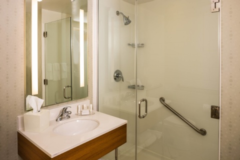 SpringHill Suites by Marriott New York LaGuardia Airport , NY 11368 near Laguardia Airport View Point 19