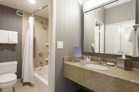 Courtyard Rochester Brighton , NY 14623 near Greater Rochester International Airport View Point 24