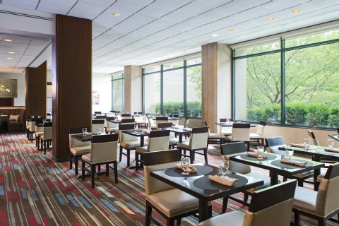 Washington Dulles Marriott Suites , VA 20170 near Washington Dulles International Airport View Point 18