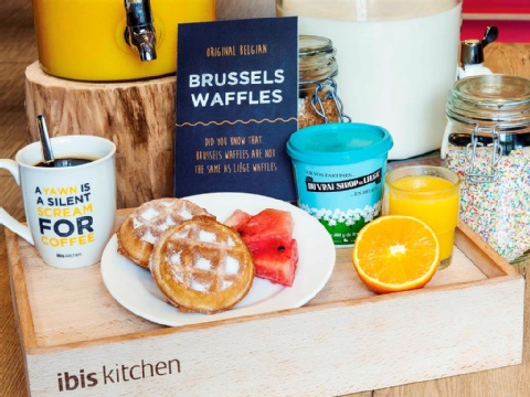 ibis Charleroi Airport Brussels South ,  6220 near Brussels Airport View Point 17