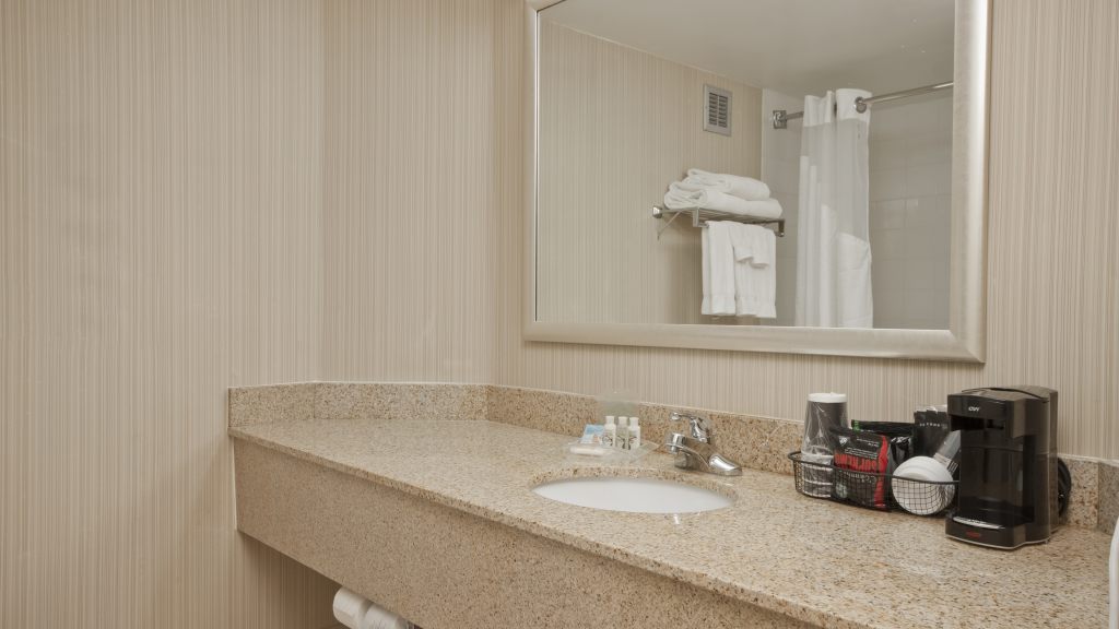 Wyndham Flint MI/Grand Blanc/Bishop Airport/ Conference Ctr , MI 48507 near Bishop International Airport View Point 3