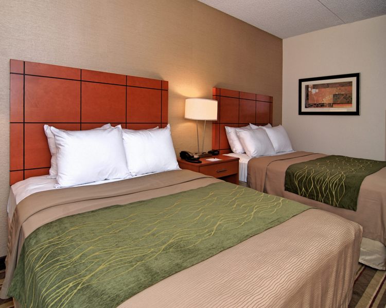 Comfort Inn Metro Airport Romulus , MI 48174 near Detroit Metropolitan Wayne County Airport View Point 8