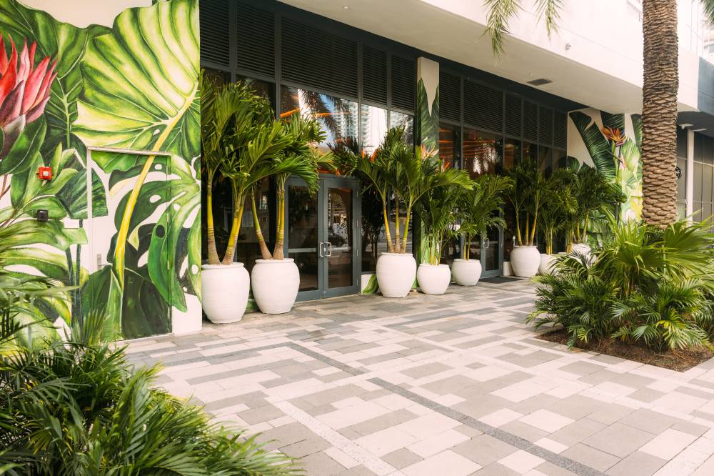 Flow Miami 3
