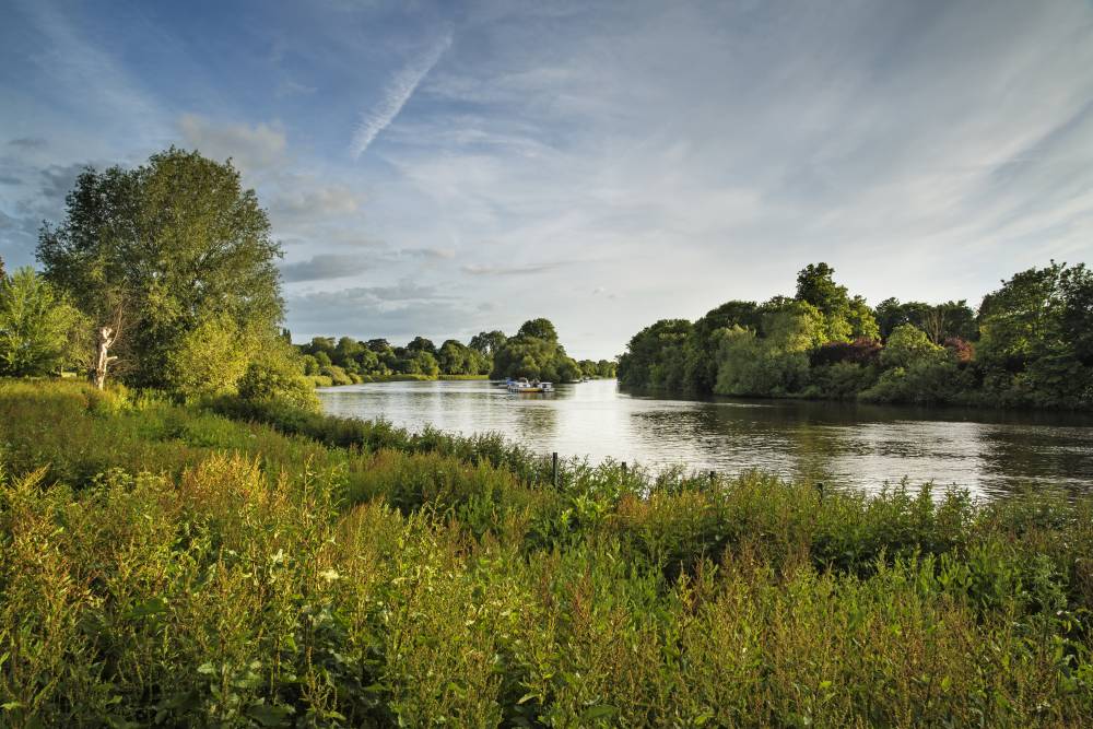 The Petersham 3